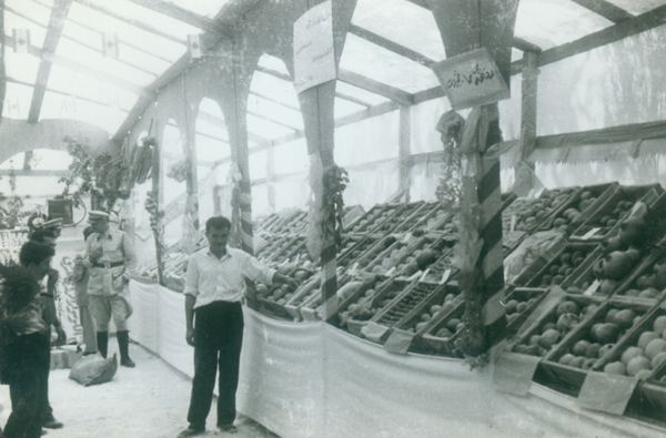 Agricultural Exhibition — 144.jpg