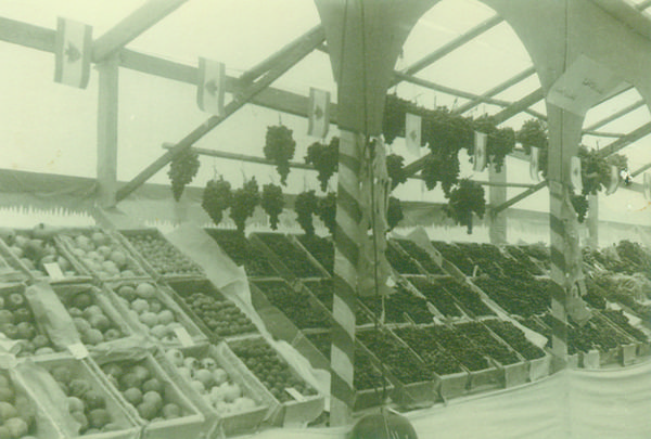 Agricultural Exhibition — 23.jpg