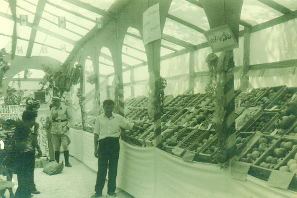 Agricultural Exhibition — 24.jpg